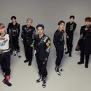 파코메리 이미지