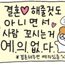 Team Shark 이미지