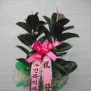 학림빌딩 이미지