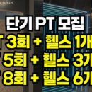 라인핏피티 이미지