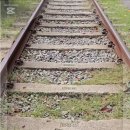 학생 전희 효자비 이미지