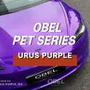 강남랩핑 테슬라 랩핑 OBEL URUS PURPLE 우루스 퍼플 후기