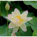 구립우리꿈어린이집 이미지