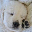 시그널동물병원 이미지