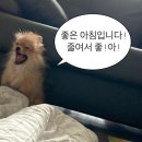 MOO PC | 마케팅 부트캠프/디지털 마케터 취업 준비] 도와세움 디마에 79기-4주차(3) 금요일 좋아