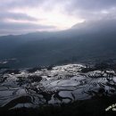 원양커피 이미지