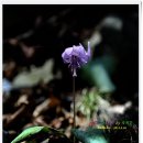 감천 소리 이미지