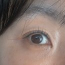 올림래쉬 - 송파구 | 김포 구래동 속눈썹펌 리아뜨래쉬 후기