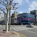 칸타빌 당구장 이미지