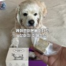 알밤이도 반한 촉촉한 프리미엄 영양간식, 레이앤이본 베이지끄 비프맛 후기
