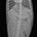 24시 위너스동물의료센터 이미지