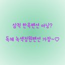 블루마운틴통나무집 | 삼척독채펜션 삼척애견동반펜션 한옥과 통나무의 감성 힐링 스폿 녹색정원 펜션 방문기 초록빛 쉼표를 찍다