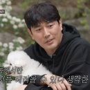 털뭉치들 이미지