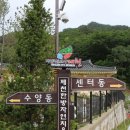 자연드림 세탁소 이미지