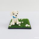 기억할개 이미지