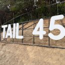 소3-45 | 용인애견운동장 테일45 프라이빗A 대관 이용 후기