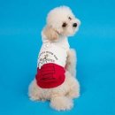 위드유애견 이미지