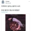 지역마다 갈리는 &#39;훔치다&#39; 속어 뭐였음? 이미지