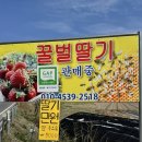청도 지오 오토캠핑장 | 청도, 화이트오토캠핑장 벚꽃캠핑 10번 사이트 후기