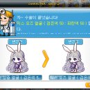 애플헤어스토리