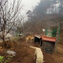 장군농장 이미지