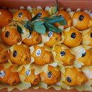 천금농장 이미지