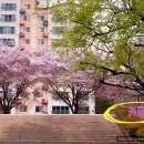 CU동천점 이미지