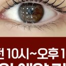 고고래쉬 네이버블로그