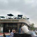 상두심천 이미지