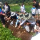 우산캠핑장 이미지