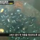 (주)두림