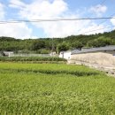 코오롱글로벌(주) 성산지점 | 영암군 미암면 선황리 성산 산성터 (11)