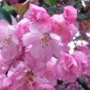 일철농장 이미지