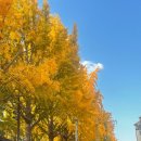 충남목장 이미지