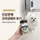꼬마펫 | 강아지 다이어트 간식, 건강한펫 동결건조 꼬마양배추, 포메라니안 급여 후기