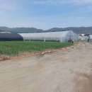 부동농장2 이미지