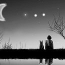 반달 - 부산진구 | 반달