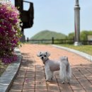 멍멍1길 23 이미지