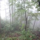 무지개 서는 마을 이미지