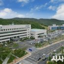 느티나무복지재단 이미지