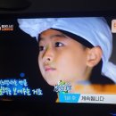 일도현이
