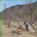 안압지농장 이미지