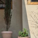 포석로6-1(서) | 경주 황리단길 맛집 구도옥 아이랑 가기 좋은 소갈비찜 후기 (주차 꿀팁)