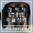 다나음동물병원 이미지