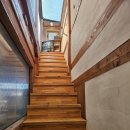 미카사 | 수원 행궁동 미카사 내돈내산 솔직후기 애견동반 가능