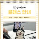 연두네놀이터