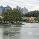 건강한식탁 파스타 | 용인 동백 ‘동백식탁’ 모임 하기 좋은 파스타 맛집 내돈내산 후기