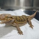 소사구청 이미지