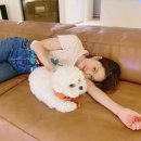 이진