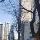 원효로1동주민센터 이미지